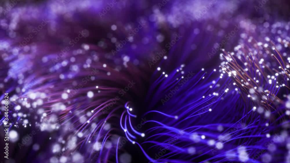 Poster fiber optic wires with flashing signals. digital data transmission via fiber optic cable. bouquet of