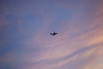 airplane in the sky