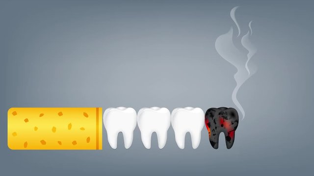 Smoking is harmful to human teeth. Stop smoking, World no tobacco day. Resulting in organ damage and premature. Animation.