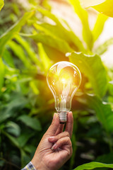 light bulb against nature, icons