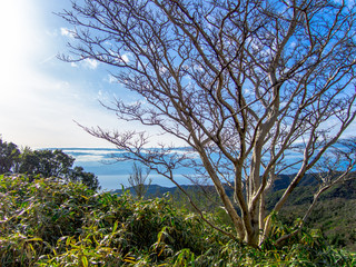 【静岡県伊豆半島】伊豆山稜線歩道からの風景【春・達磨山付近】