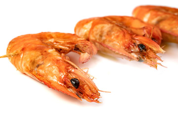 roasted prawn with skewer isolated on white background ,grilled shrimp