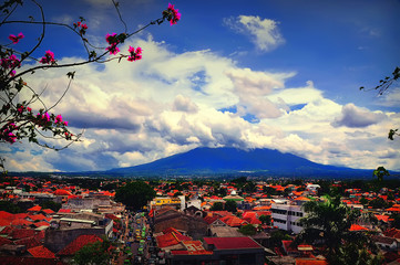 View of the Bogor City 
