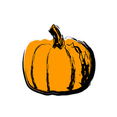 Vector illustration pumpkin isolated on white background