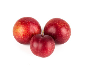 Fresh America cherry plum isolated on white background.