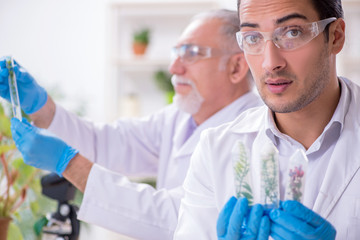 Two chemists working in the lab