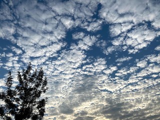 NUBES