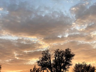 NUBE ARBOL