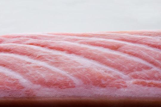 raw marbled tuna belly toro closeup