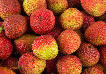 Fresh lychee isolated on a white background.