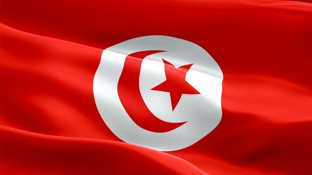 Tunisia flag Motion Loop video waving in wind. Realistic Tunisian Flag background. Tunisia Flag Looping Closeup 1080p Full HD 1920X1080 footage. Tunisia Africa country flags footage video for film,new
