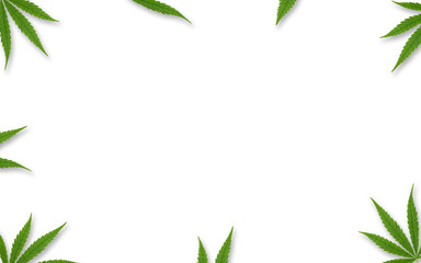 cannabis leafs frame Isolated on white background with copy space