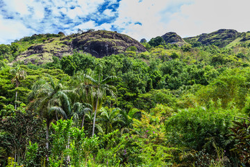 Rocky hills covered in vegetation in the Fijian countryside.