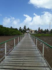 wooden bridge in the lake