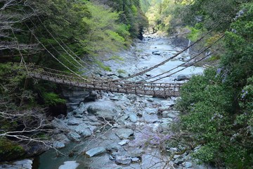 Japan's Shikoku region Is a bridge made of wood in Tokushima Prefecture Iya no Kazura Bridge tourist attraction
 - obrazy, fototapety, plakaty