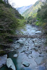 Japan's Shikoku region Is a bridge made of wood in Tokushima Prefecture Iya no Kazura Bridge tourist attraction
 - obrazy, fototapety, plakaty