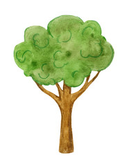  Green, cartoon, forest tree, watercolor on a white background. Garden plants. Children's illustration with paints.