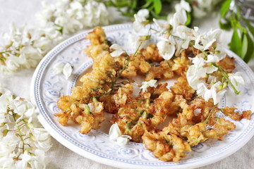 acacia flowers fried in batter. organic food from nature. natural habitat. Edible flowers. foraging. 
