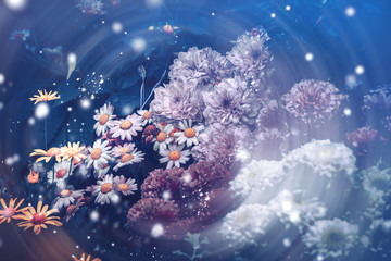 Fototapeta na wymiar Dramatic flower background; Nature Background