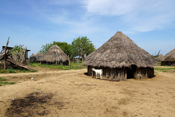 Fototapeta na wymiar Straw Roof Huts in a Karo Tribe Village