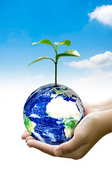 Woman hands holding world or globe on earth day.Environment conservation and energy saving concept.Elements of this image are furnished by NASA.
