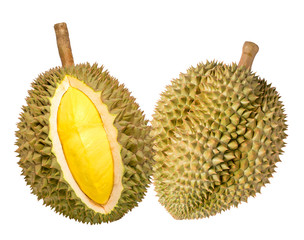 Durian King of fruits, Durian fruit with delicious golden yellow soft flesh, Durian isolated on white background,