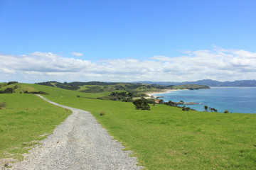 【 New Zealand 】Matakana