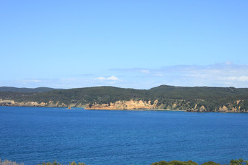 【 New Zealand 】Matakana