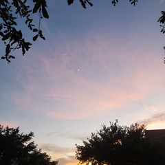 moon
