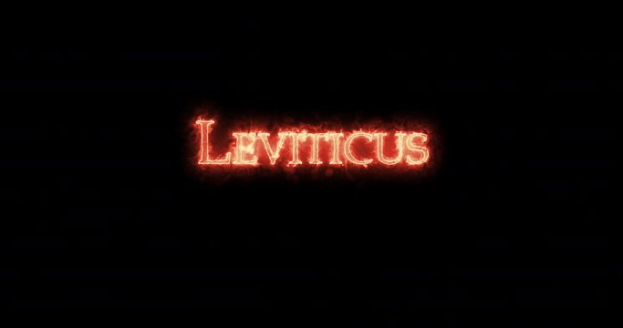 Leviticus written with fire. Loop