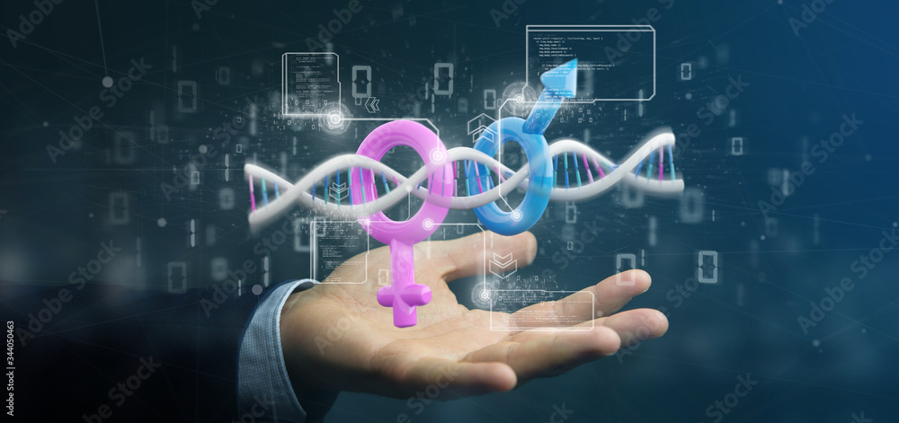 Wall mural Businessman holding a DNA with data and male and female symbol - 3d rendering