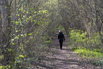 Woman walking alone in a forest