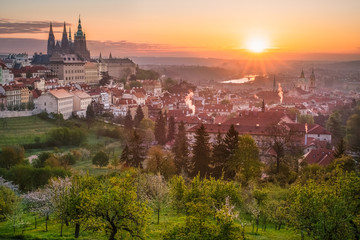 Fototapeta na wymiar Prague Castle, St. Vitus cathedral and the UNESCO heritage site of the old city center with red rooftops captured behind blooming apple orchard from Strahov monastery during sunrise, Czech Republic