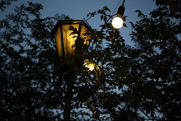 Street lamp