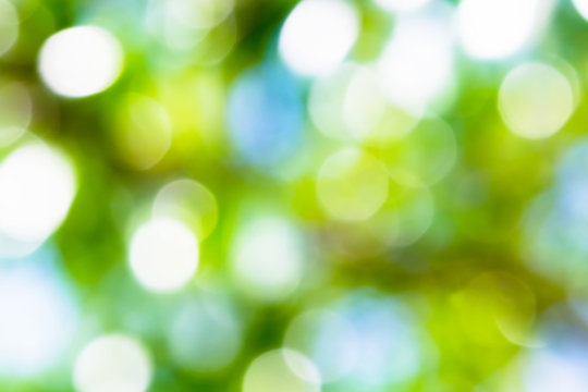 green and yellow bokeh light with sun light nature background