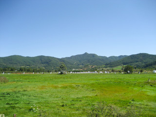 長野県 高原