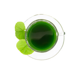 Gotu kola juice drink, Asiatic pennywort, Indian pennywort with green leaf isolated on white background, herb and medical concept