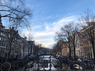 bikes in amsterdam