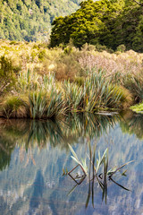 Mirror lake at Eglinton valley in New Zealand.