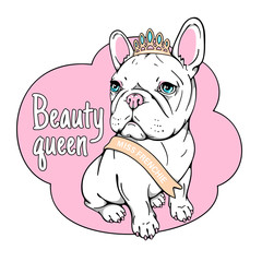 Cute little french bulldog girl in beauty queen crown