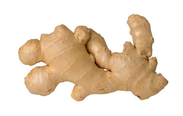 Whole single raw fresh ginger root isolated on white background