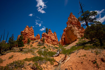 Beautiful Bryce Canyon, United States
