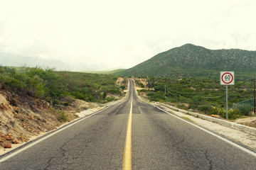 Road with a yellow line in the middle, to the green trees forest on the mountain.