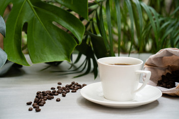 Obraz na płótnie Canvas Cup coffee with sack roasted coffee bean against palm leaves background.