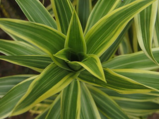 Obraz premium Its all about the perspective and this perspective need practice and to have a practice on that we should have a good min to focus on beauty and the admire the way in which things are being.