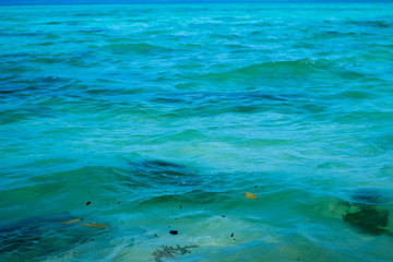 A shot of clear water of the Indian ocean