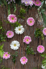 Beauty floristic decoration with white and pink gerbera flowers