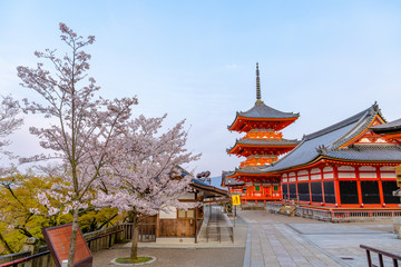 Naklejka premium 清水寺の三重塔