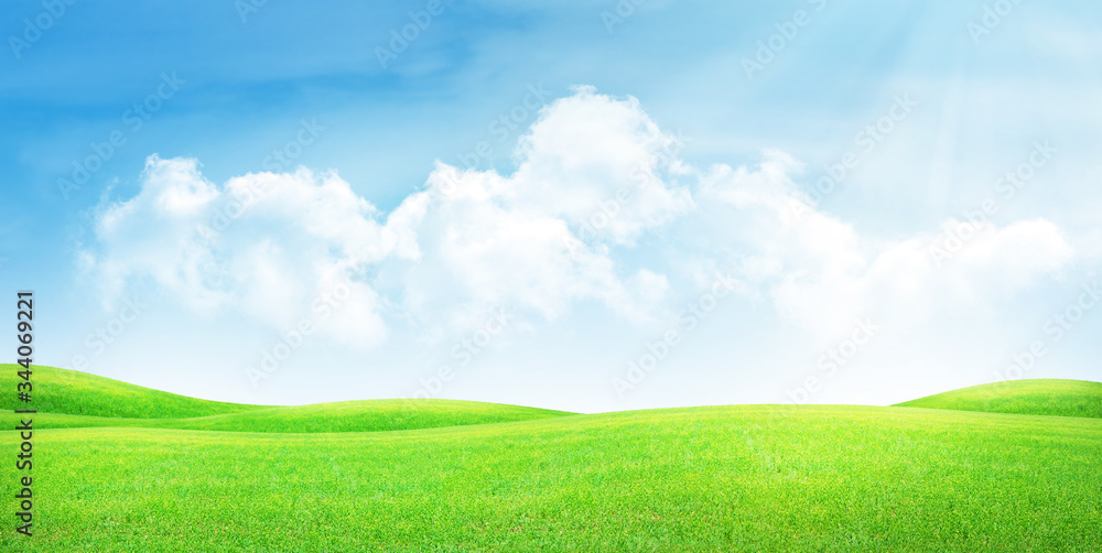 Wall mural green grass field and clear blue sky