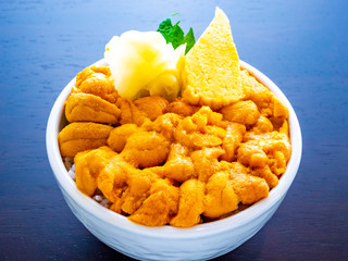 Sea urchin rice bowl (Sea urchin donburi)